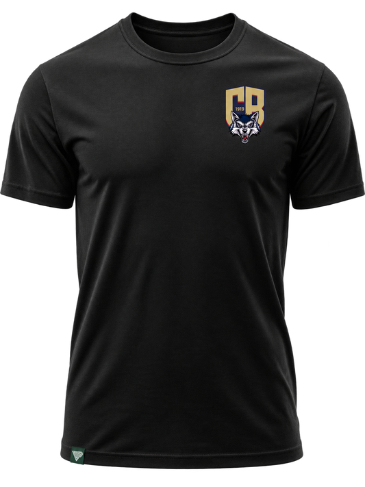 Campobasso β Lupi di Campobasso Vintage Football T-Shirt